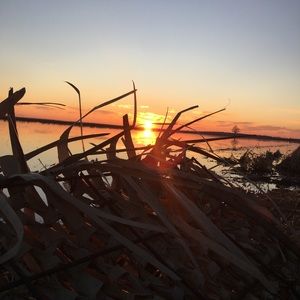 Meet your Posher, Shane